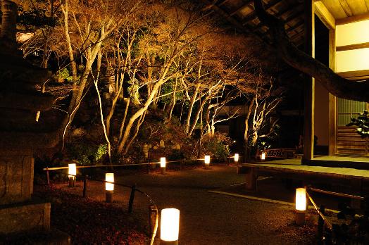 山内の草花 読み込み中