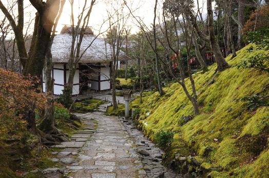 山内の草花 読み込み中