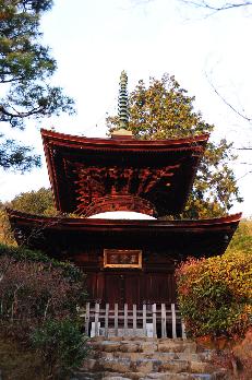 山内の草花 読み込み中