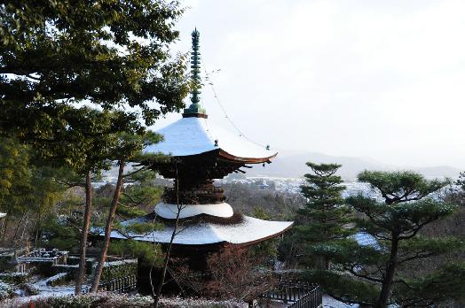 山内の草花 読み込み中