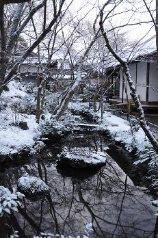 山内の草花 読み込み中
