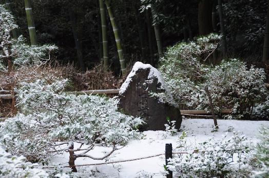 山内の草花 読み込み中