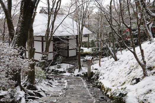 山内の草花 読み込み中