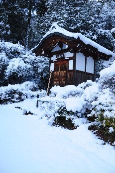 山内の草花 読み込み中