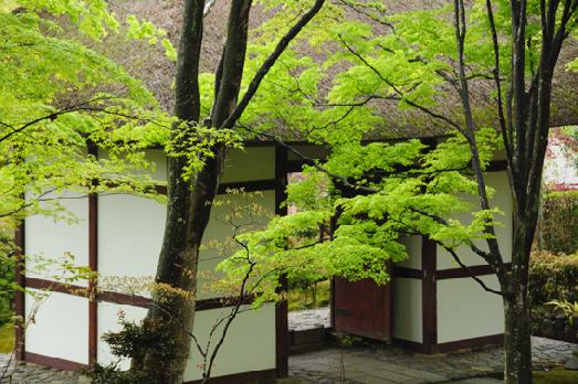 山内の草花 読み込み中