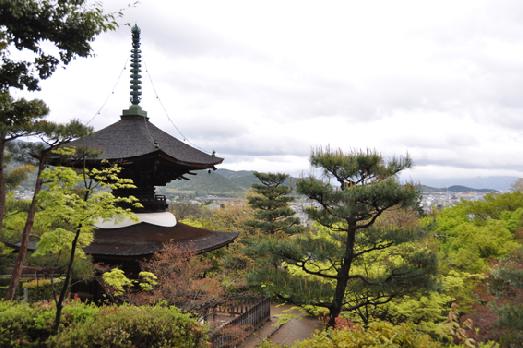 山内の草花 読み込み中