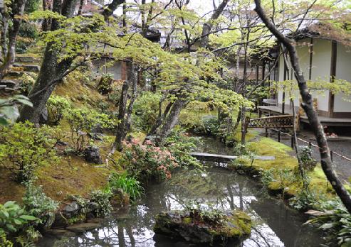 山内の草花 読み込み中