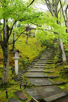山内の草花 読み込み中