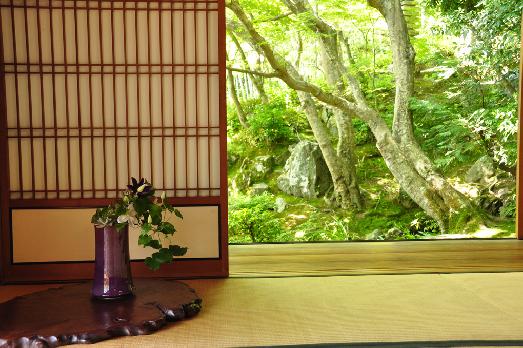 山内の草花 読み込み中