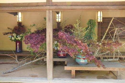 山内の草花 読み込み中