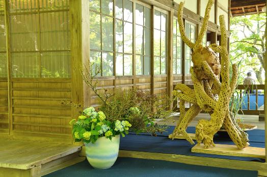 山内の草花 読み込み中