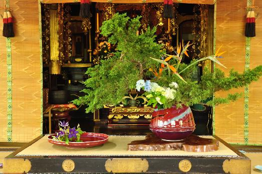 山内の草花 読み込み中