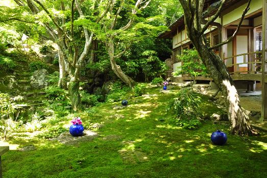 山内の草花 読み込み中