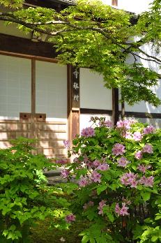 山内の草花 読み込み中