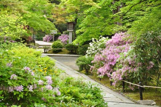 山内の草花 読み込み中