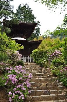 山内の草花 読み込み中