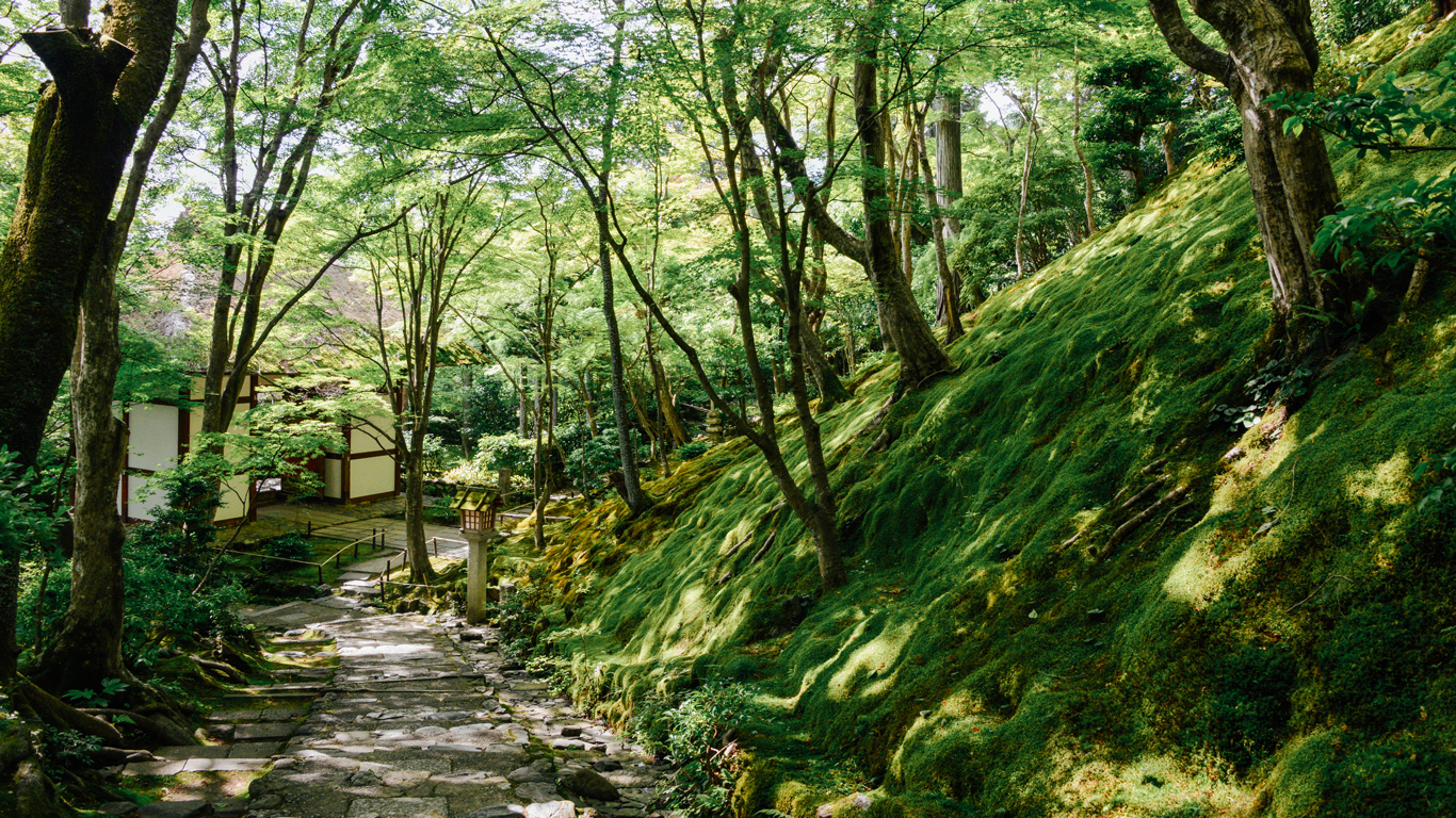 夏 画像2