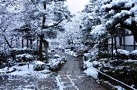 本堂前庭園雪景